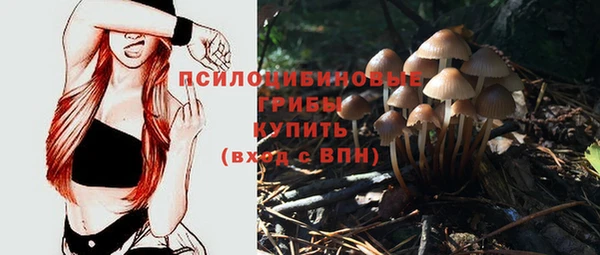 хмурый Волосово