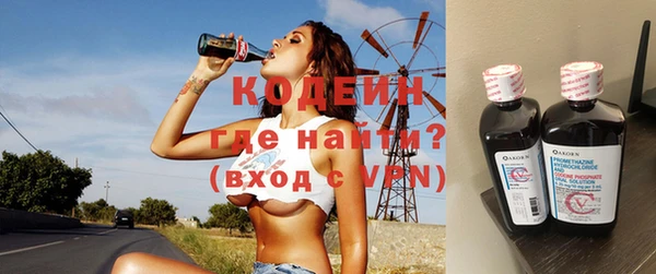 молекула духа Вяземский